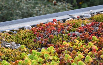 the cost of South Witham green roof installation
